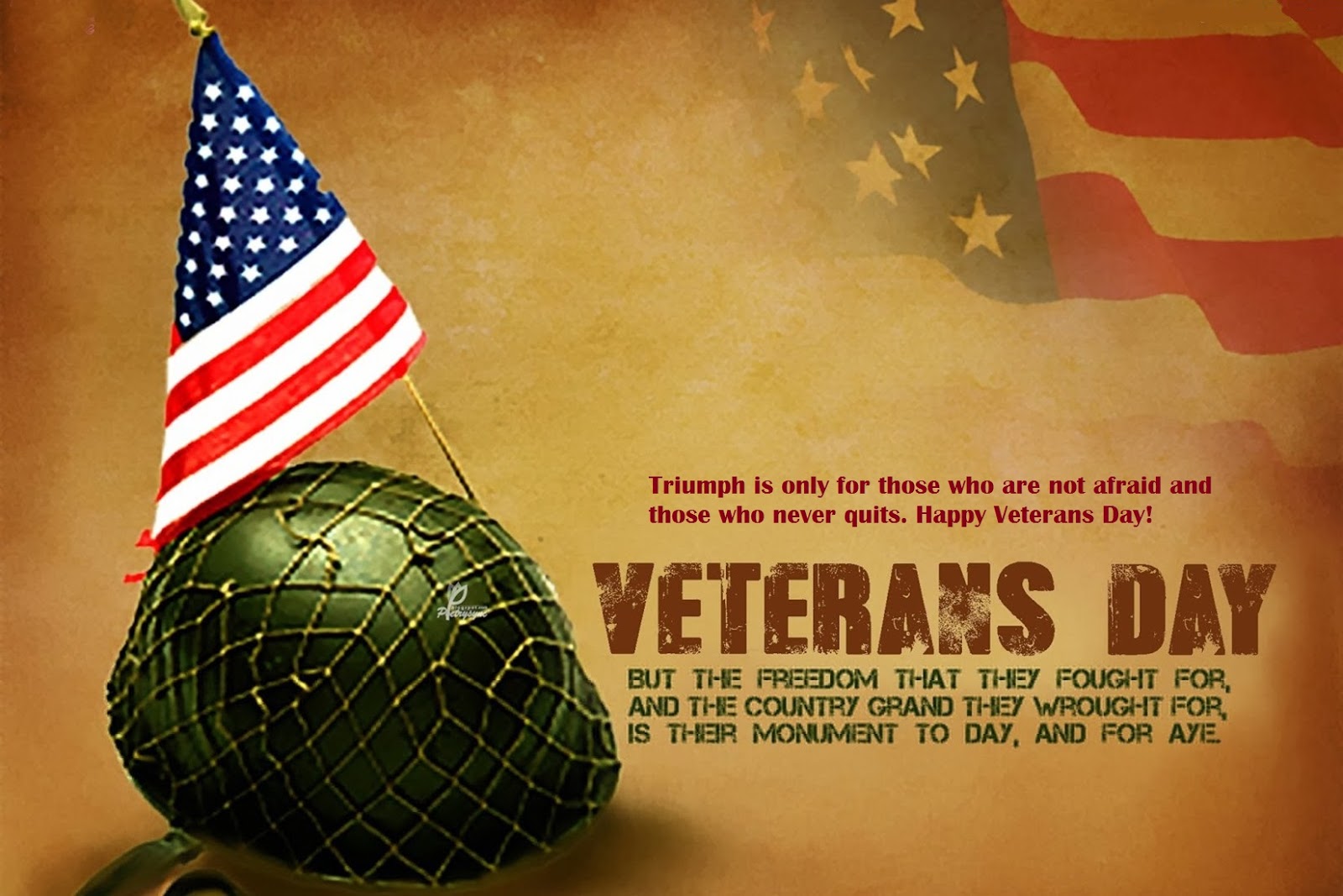 awesome veterans day quotes