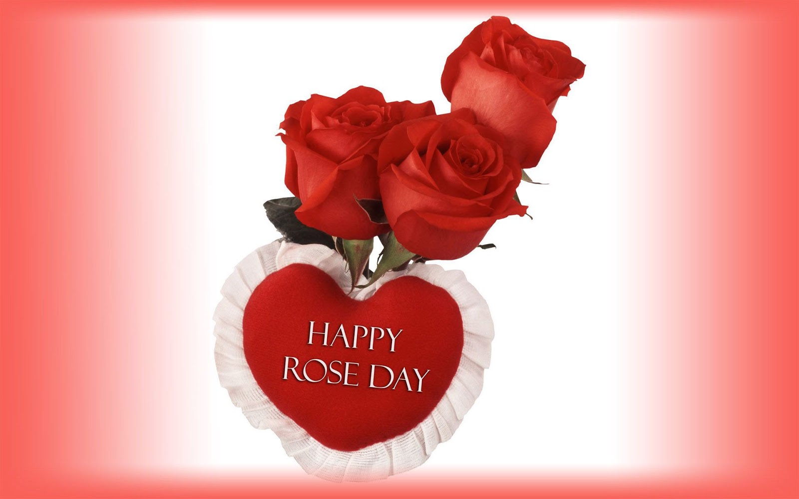 Happy Rose Day Hot