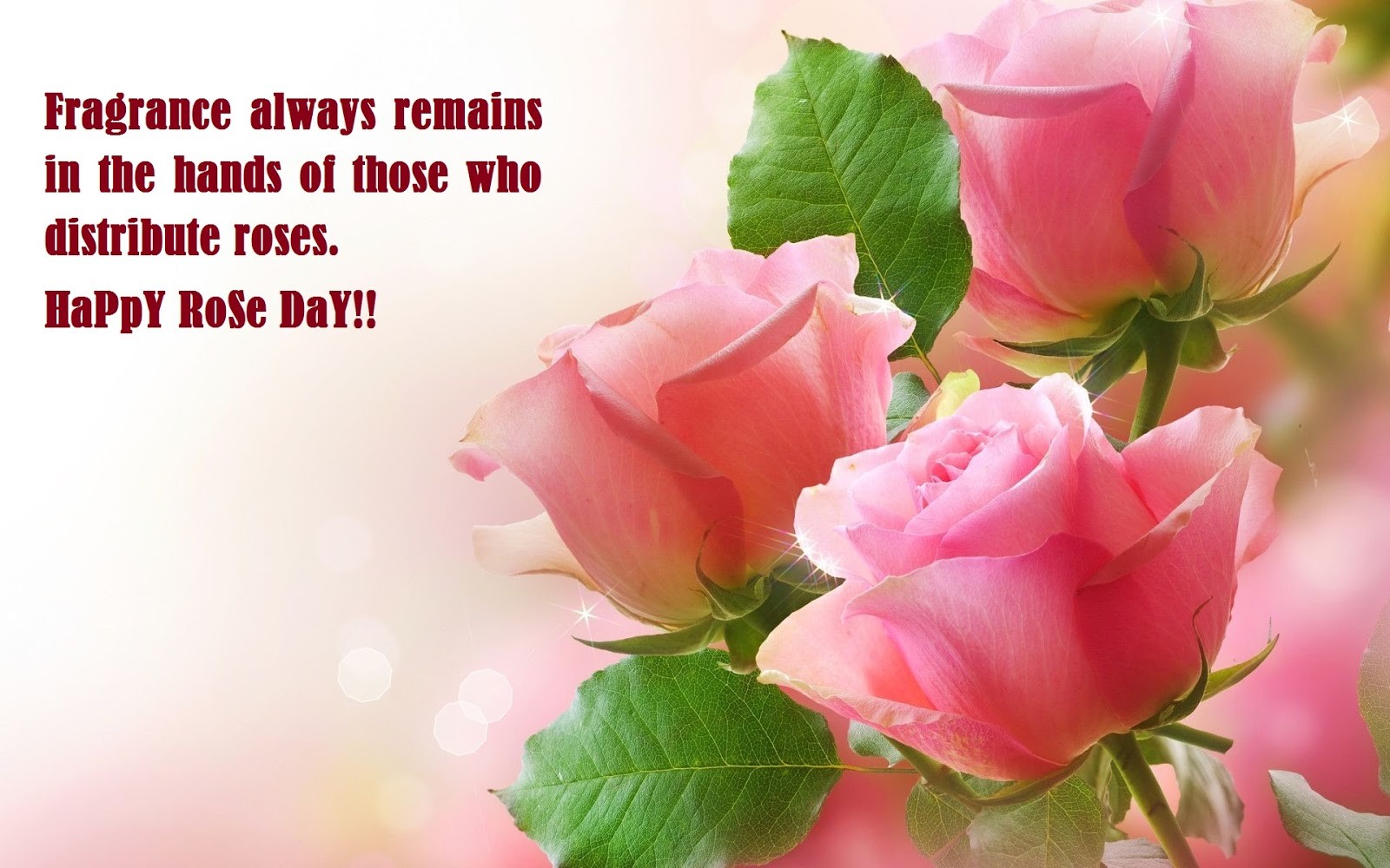 happy rose day sms