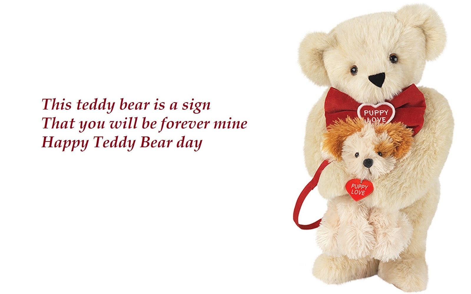 happy teddy day status happy teddy day status