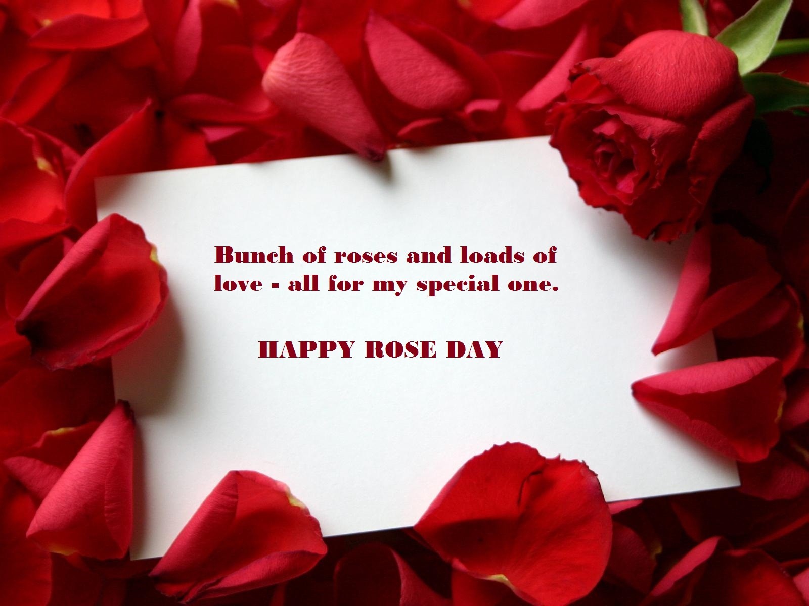 rose day msg for girlfriend