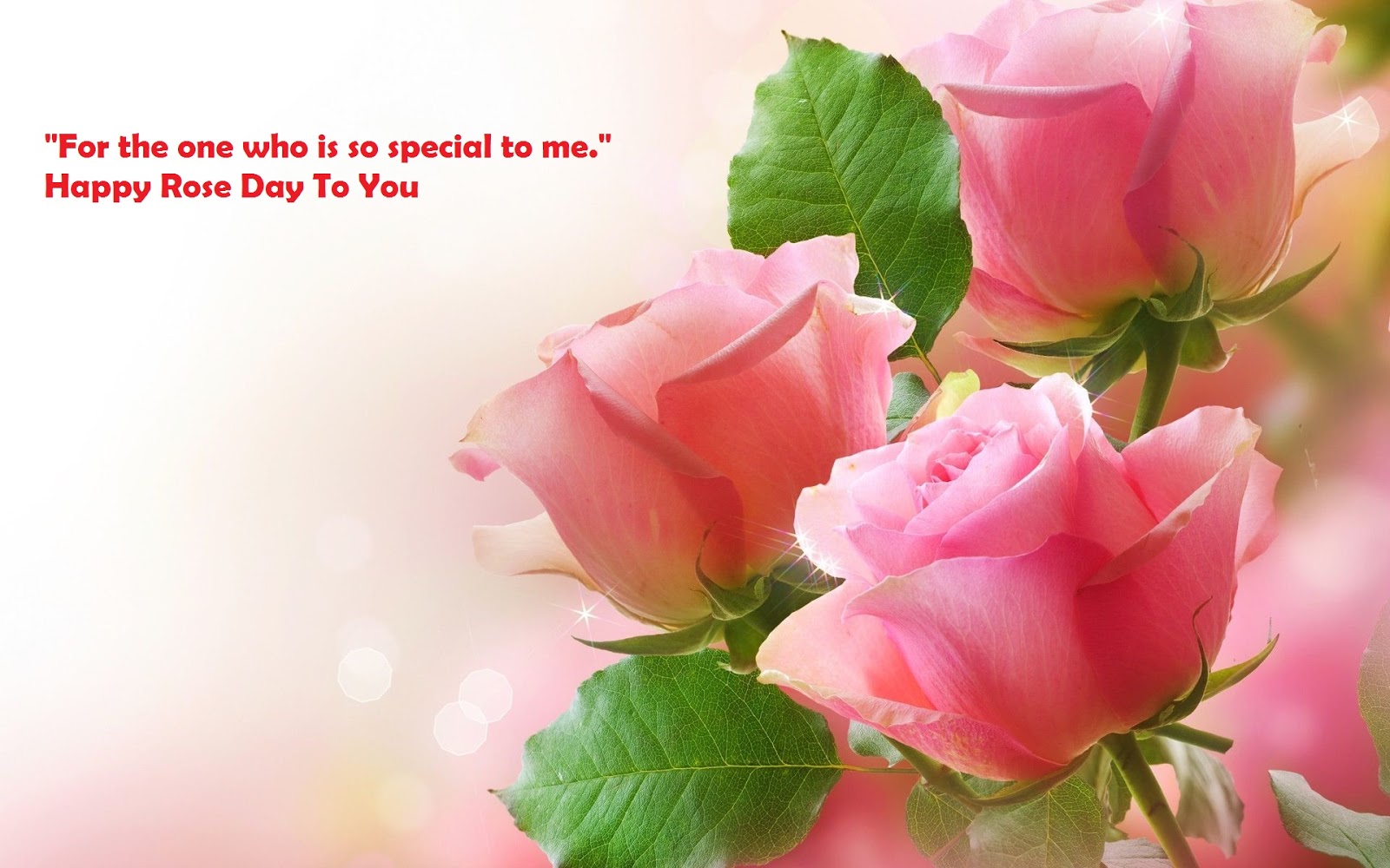 rose day sms in English rose day sms in English