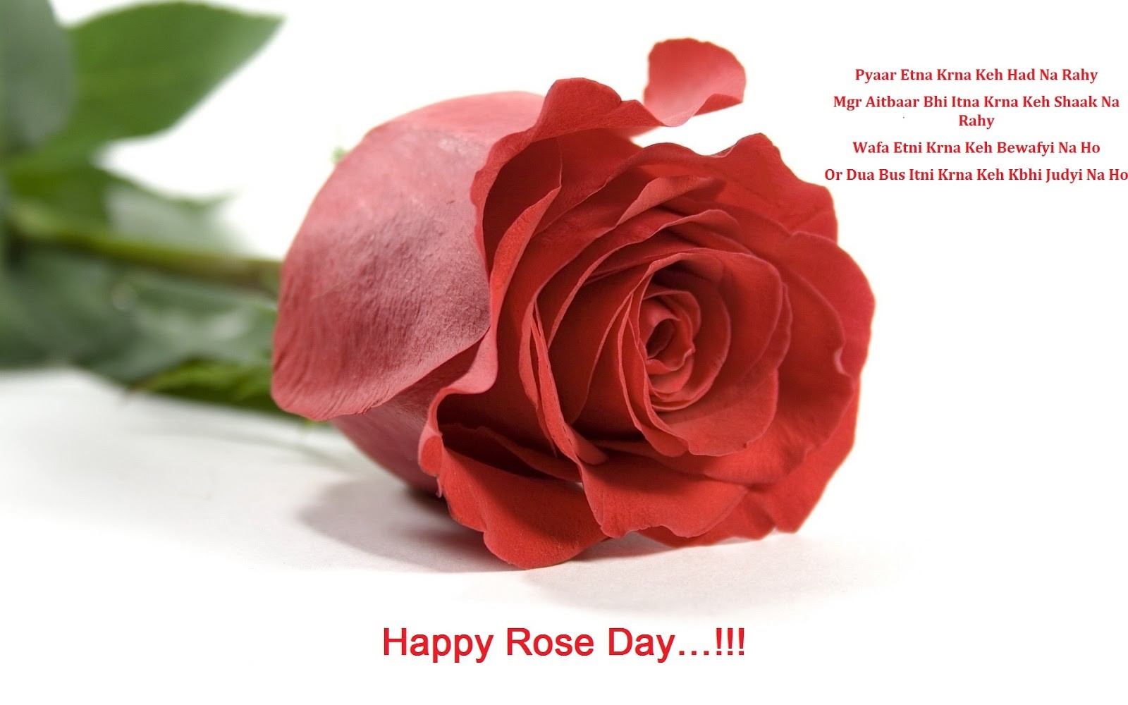 rose day sms in hindi