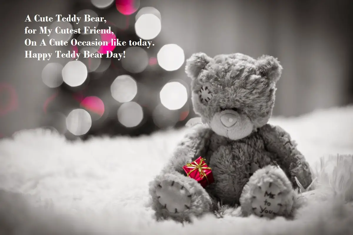 teddy day quotes for boyfriend