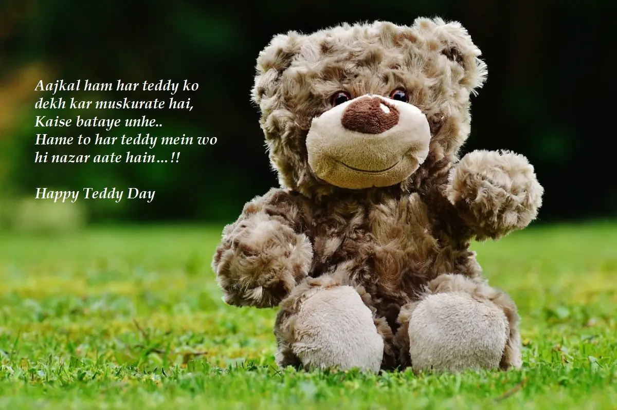 teddy day status for whatsapp teddy day status for whatsapp