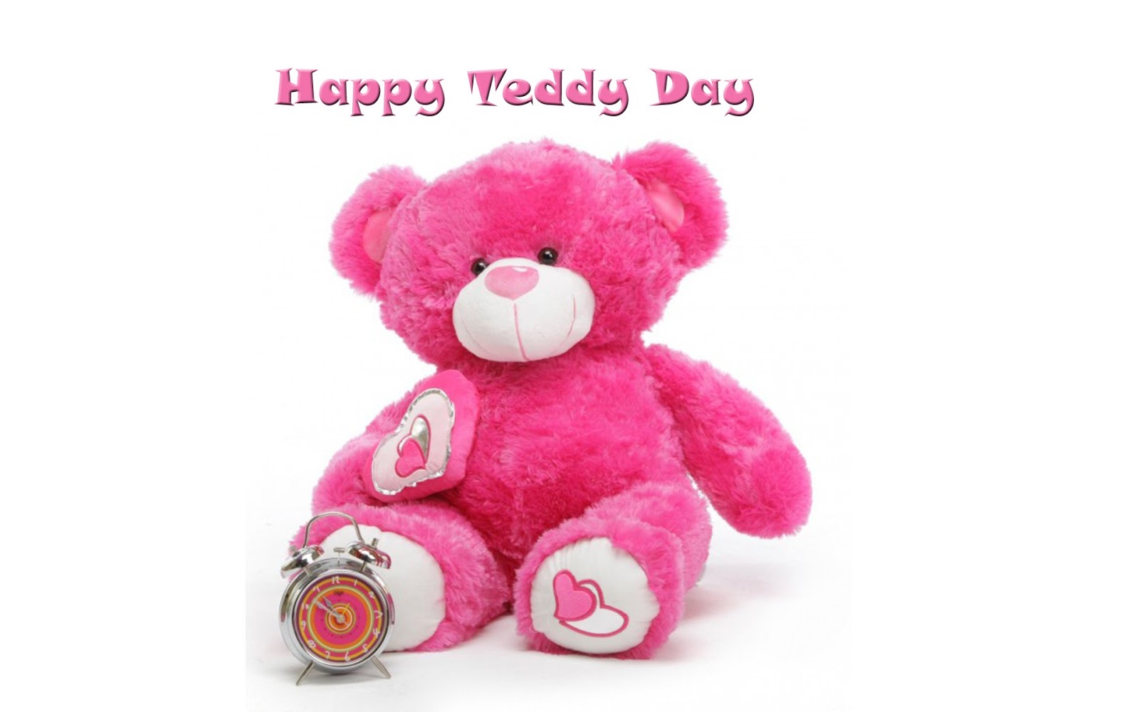 teddy day images hd